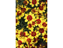 164,2���. ��������� ��������(�������� ���� �� 1 ��., ����������� ����� 1��.)���17.jpg