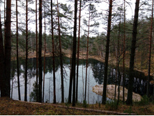 IMG 20161029 074430.jpg