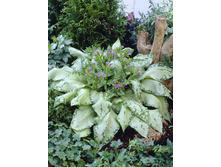 105,8���. �������� ����������(�������� ���� �� 1 ��., ����������� ����� 1��.).jpg