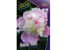 365,6���. ���� ����� ����(�������� ���� �� 1 ��., ����������� ����� 1��.).jpg