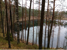 IMG 20161029 075752.jpg