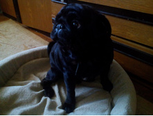 IMG 20161018 145247.jpg