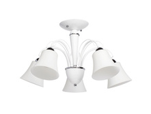 297011405 3100�.jpg