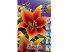 32,36���. ����� ������(��� 5 ��. ���������� �� 2��.).jpg