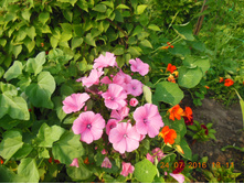 DSCN2146.JPG