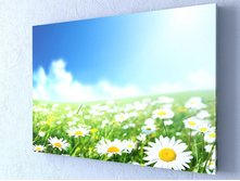 ���������� ���� 1-1.jpg