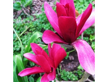 209���. �������� �ף������� ������.jpg