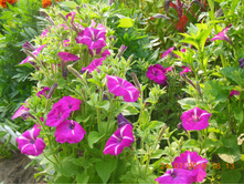DSCN2153.JPG