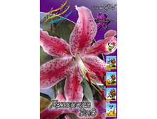 26,5���. ����� ������� ���(��� 7 ��. ���������� �� 2��.).jpg