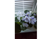 20160706 052334.jpg
