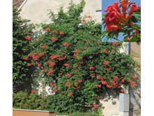 200���. ������� ������������� ��������.jpg