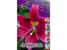 24,81���. ����� ������� ���(��� 7 ��. ���������� �� 2��.).jpg