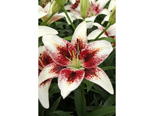 32,36���. ����� ������ ����(��� 5 ��. ���������� �� 2��.)���16.jpg