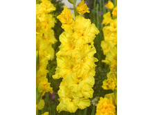 9,11���. ��������� ��������(���������� ������ ������ ���������� �� 8 ��.).jpg