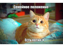 �������� ��������� - ���� �����!