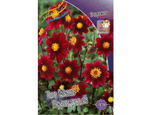 70,7���. �������� ��� ���� ���������(�������� ���� �� 1 ��., ����������� ����� 1��.).jpg