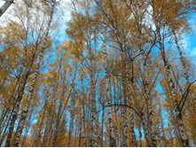 P 20161016 125638.jpg