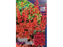 235,3���. ������� ����� ����(�������� ���� �� 1 ��., ����������� ����� 1��.).jpg