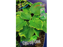 187,9���. ����� ��� �� ���(�������� ���� �� 1 ��., ����������� ����� 1��.).jpg