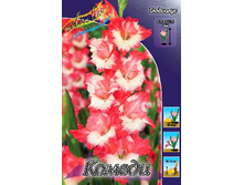 9,41���. ��������� ������(���������� ������ ������ ���������� �� 9 ��.).jpg