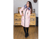 ������ ���.8619, 2300�