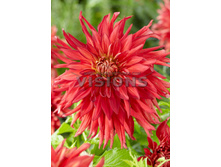 83,5���. �������� ���� ����(�������� ���� �� 1 ��., ����������� ����� 1��.)���16.jpg