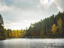 57f6821e0cd3e dsc3871.jpg