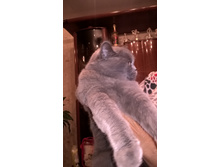 ����4