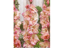 13,2���. ��������� �������� ����(���������� �� ����� �������� �� 7��.)���17.jpg