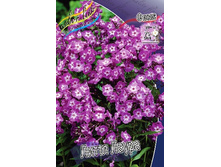 48,93���. ����� ����� �����(�������� ���� �� 3 ��., ����������� ����� 1��.).jpg