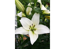 19,74���. ����� ������(��� 7 ��. ���������� �� 2��.)���16.jpg