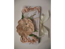 ��������-�����������