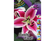 43,34���. ����� ����� ����(��� 5 ��. ���������� �� 2��.).jpg