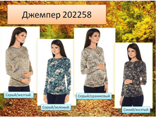 202258 �������