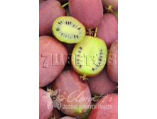 Actinidia arguta Bingo ��������� ������ ����� 2 ltr € 6,81 510,58�..jpg