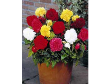 36,54���. ������� ����������� �����(��� 5 ��. ���������� �� 2��.).jpg