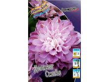 251,9���. �������� ������� �����(�������� ���� �� 2 ��., ����������� ����� 1��.).jpg