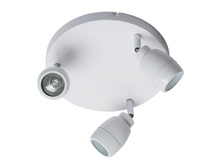 509023503 1900�.jpg