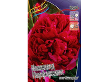 567���. ���� ������� ����������(�������� ���� �� 1 ��., ����������� ����� 1��.).jpg