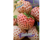 54,96���. ��������� ������� �������(���������� ������ ������ ����������. � �������� 5 ��.).jpg