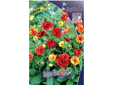 86,05���. �������� ���-��-���(�������� ���� �� 2 ��., ����������� ����� 1��.).jpg