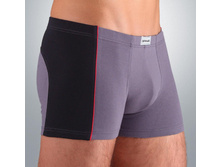 DIWARI (� ��������) MSH 119.jpg