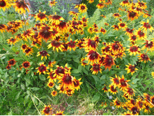 DSCN2160.JPG