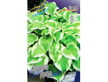 93,1���. ����� ������ ����(�������� ���� �� 1 ��., ����������� ����� 1��.).jpg