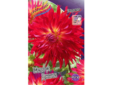 83,5���. �������� ������ �����(�������� ���� �� 1 ��., ����������� ����� 1��.).jpg