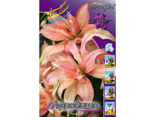 49,24���. ����� ��������(��� 5 ��. ���������� �� 2��.).jpg