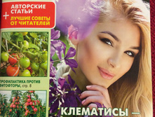 ����� � ���� ���� 15 �