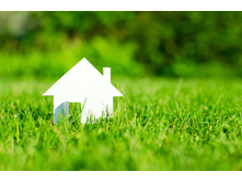 �������� �����, ��������� ����, ��������