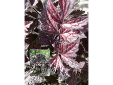 286,6���. �������� ���������(�������� ���� �� 1 ��., ����������� ����� 1��.).jpg