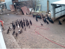 IMG 20161007 131642.jpg